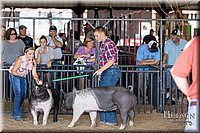 LCFAIR17-4103.jpg