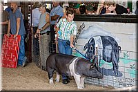 LCFAIR17-4105.jpg