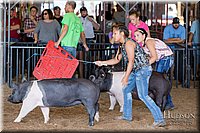 LCFAIR17-4107.jpg
