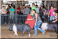 LCFAIR17-4108.jpg