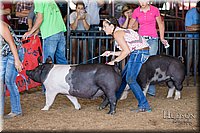 LCFAIR17-4109.jpg