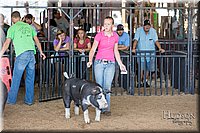 LCFAIR17-4110.jpg