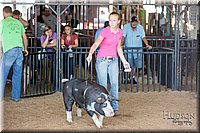 LCFAIR17-4111.jpg