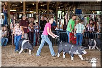 LCFAIR17-4114.jpg