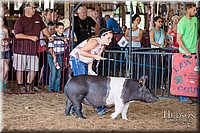LCFAIR17-4115.jpg