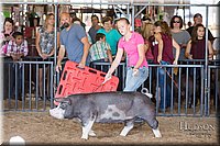 LCFAIR17-4118.jpg