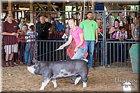 LCFAIR17-4119.jpg