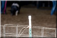 LCFAIR17-4126.jpg