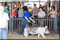 LCFAIR17-4129.jpg
