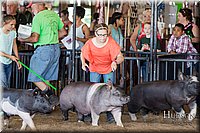 LCFAIR17-4131.jpg