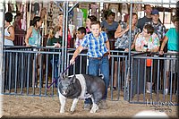 LCFAIR17-4133.jpg