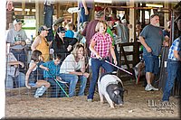 LCFAIR17-4135.jpg