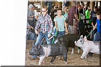 LCFAIR17-4136.jpg