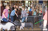 LCFAIR17-4140.jpg