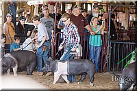 LCFAIR17-4142.jpg