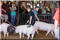 LCFAIR17-4143.jpg