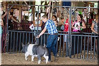 LCFAIR17-4147.jpg