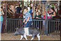 LCFAIR17-4148.jpg