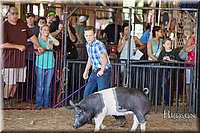 LCFAIR17-4149.jpg