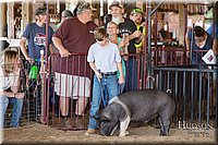 LCFAIR17-4153.jpg