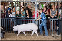 LCFAIR17-4156.jpg