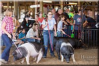 LCFAIR17-4158.jpg