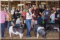 LCFAIR17-4159.jpg