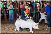 LCFAIR17-4162.jpg