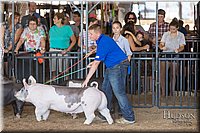 LCFAIR17-4164.jpg