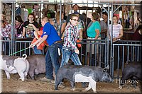 LCFAIR17-4166.jpg