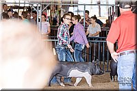 LCFAIR17-4168.jpg