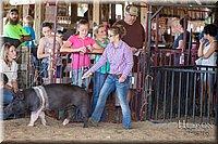LCFAIR17-4170.jpg