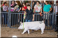 LCFAIR17-4172.jpg