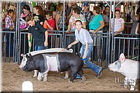 LCFAIR17-4173.jpg