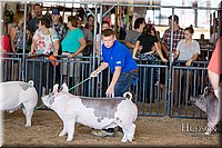 LCFAIR17-4174.jpg