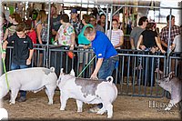LCFAIR17-4175.jpg