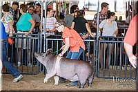 LCFAIR17-4176.jpg