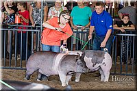 LCFAIR17-4179.jpg