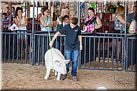 LCFAIR17-4181.jpg