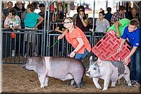 LCFAIR17-4182.jpg