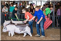 LCFAIR17-4183.jpg