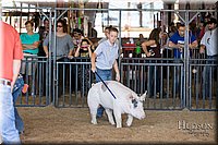 LCFAIR17-4189.jpg
