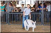LCFAIR17-4192.jpg