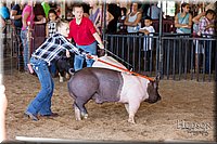 LCFAIR17-4193.jpg