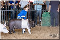 LCFAIR17-4195.jpg