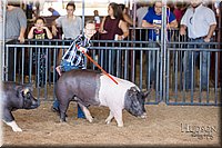LCFAIR17-4196.jpg
