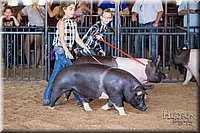 LCFAIR17-4197.jpg