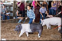 LCFAIR17-4199.jpg