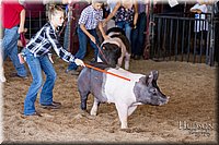 LCFAIR17-4201.jpg