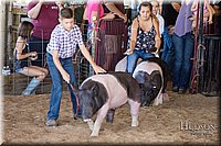 LCFAIR17-4202.jpg